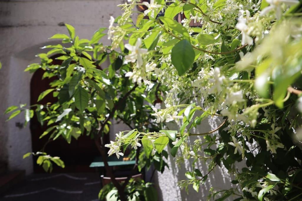 Apartmán Casa Rina Malcesine Exteriér fotografie